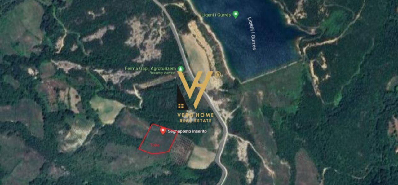 TOKE 5.500 M2 NE GURE E VOGEL 275.000 EURO