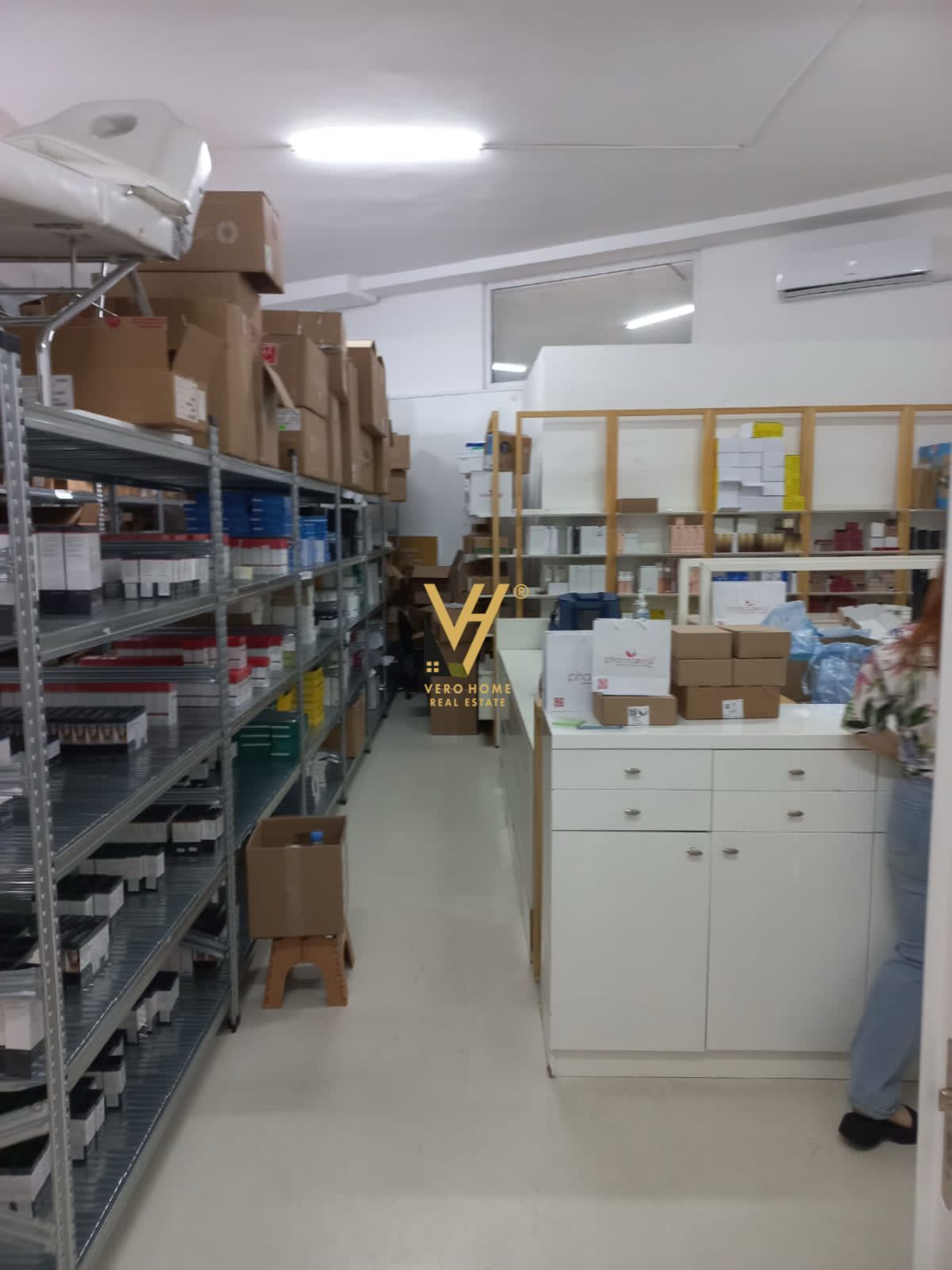 DYQAN TE KOPSHTI ZOOLOGJIK 300.000 EURO