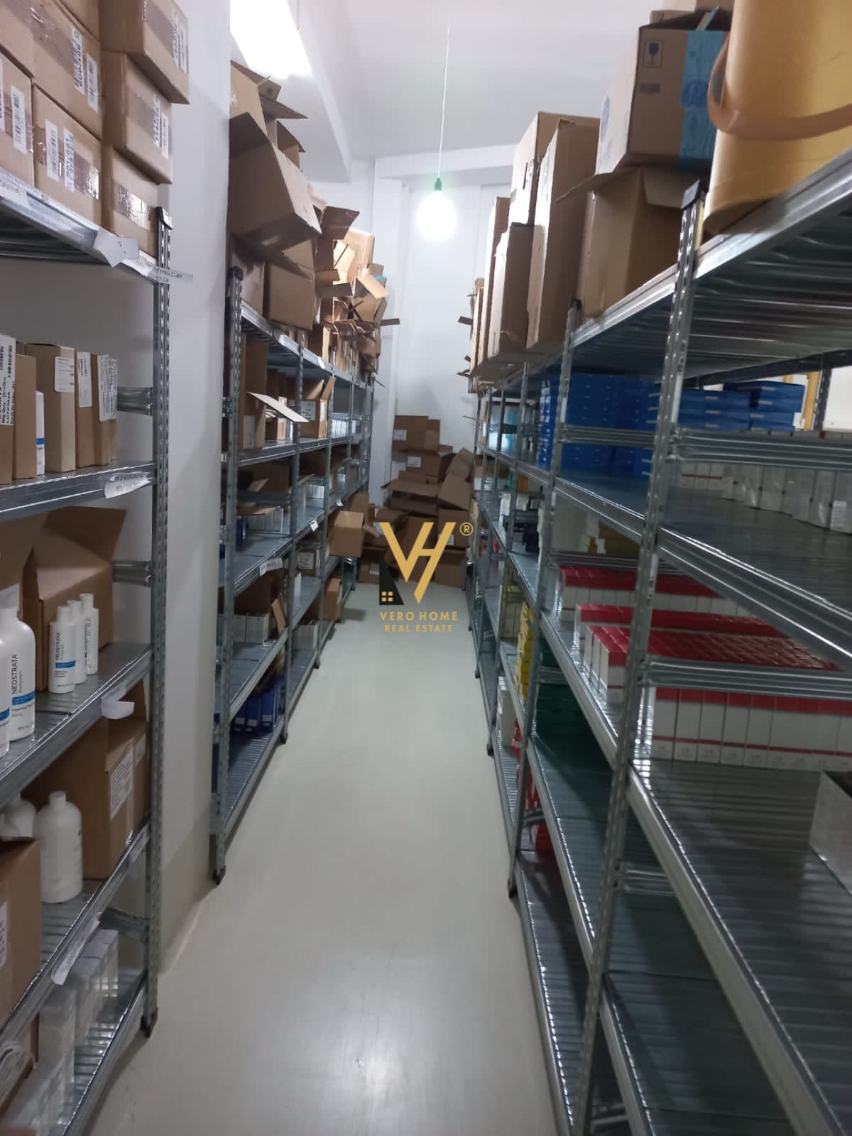 DYQAN TE KOPSHTI ZOOLOGJIK 300.000 EURO