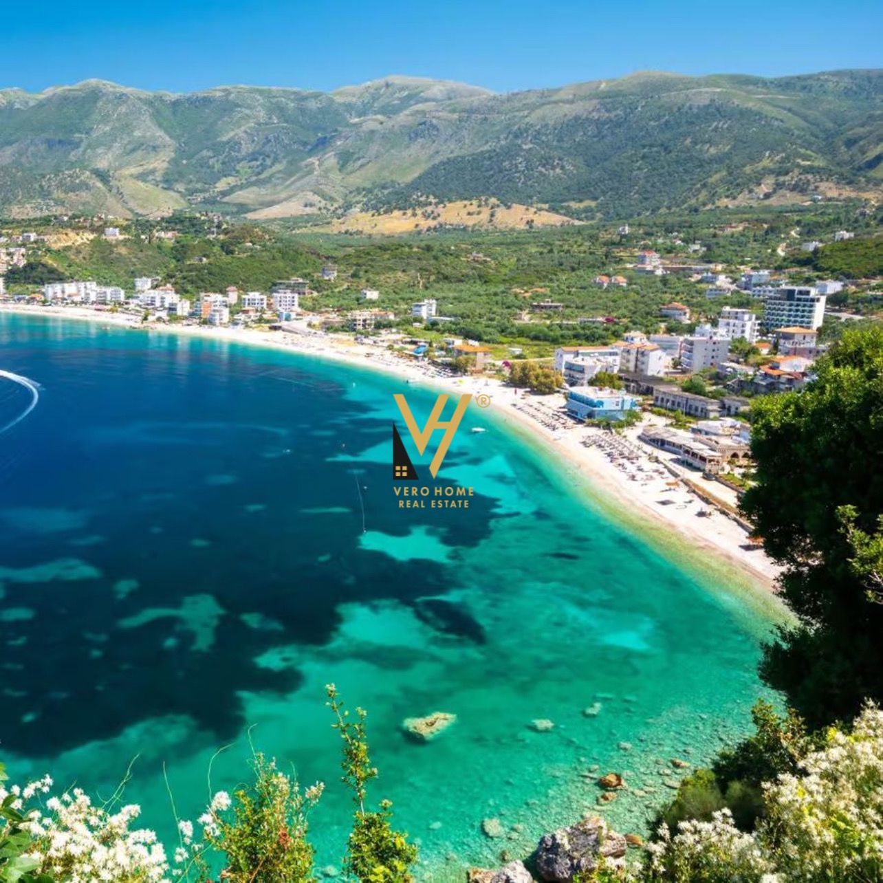 TOKE 2.000 M2 NE BORSH 310.000 EURO