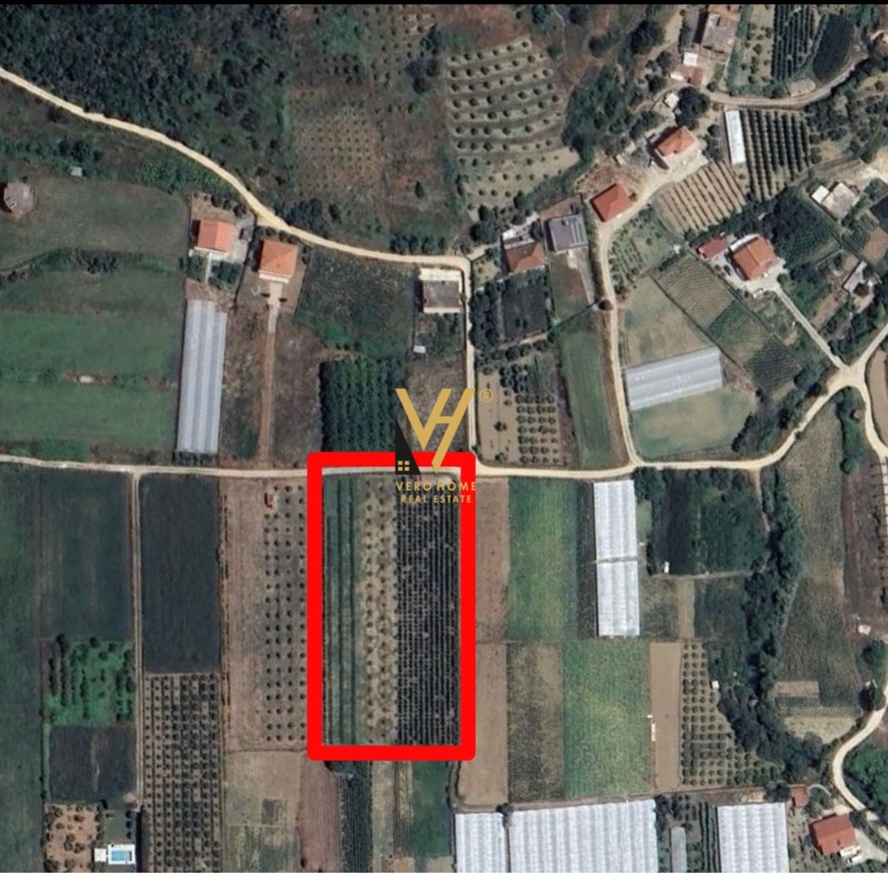 TOKE ARE 5.500 M2 NE NDROQ 210.000 EURO