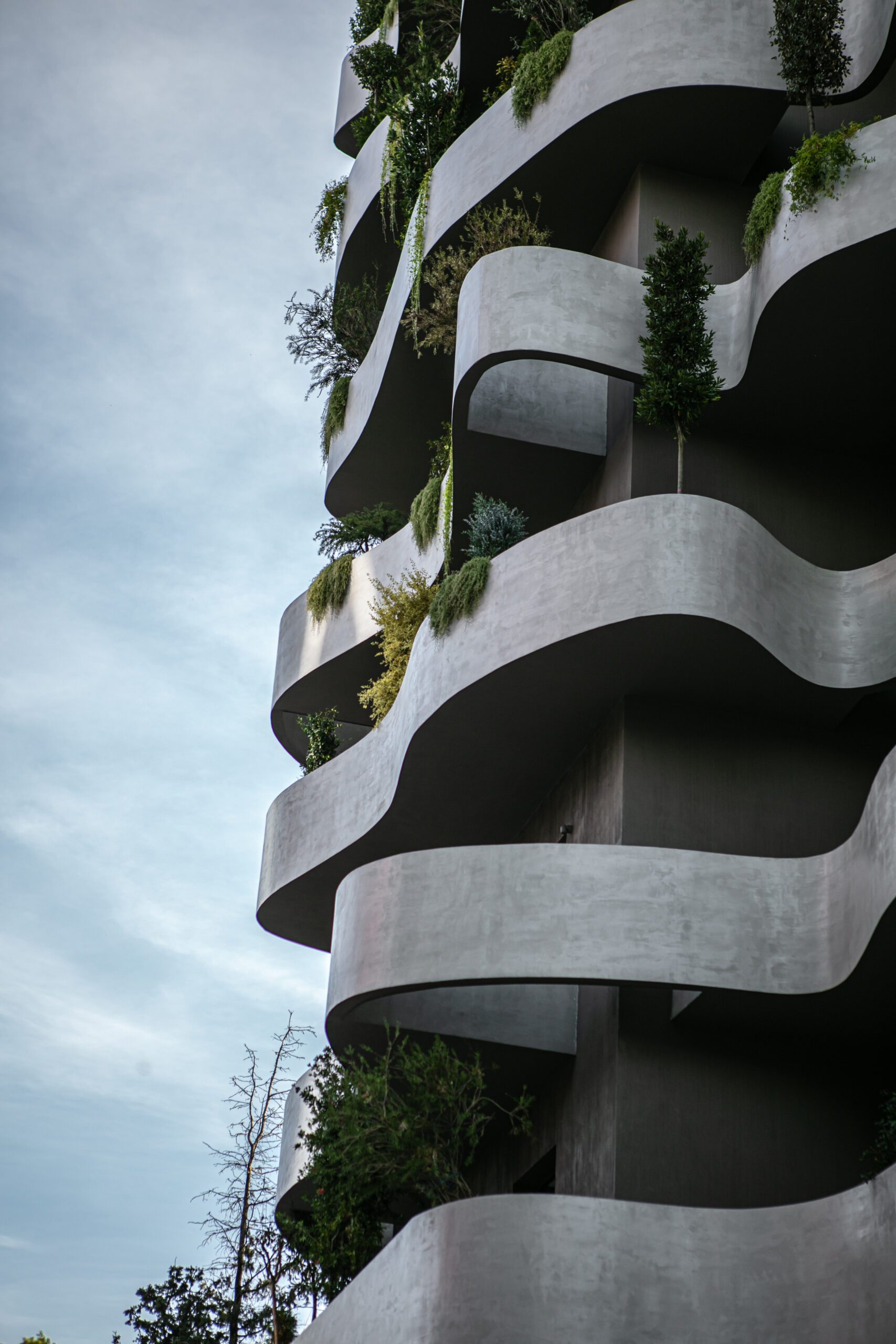 🏡 Shitet Apartament 1+1 + Lavanteri në Lion Park