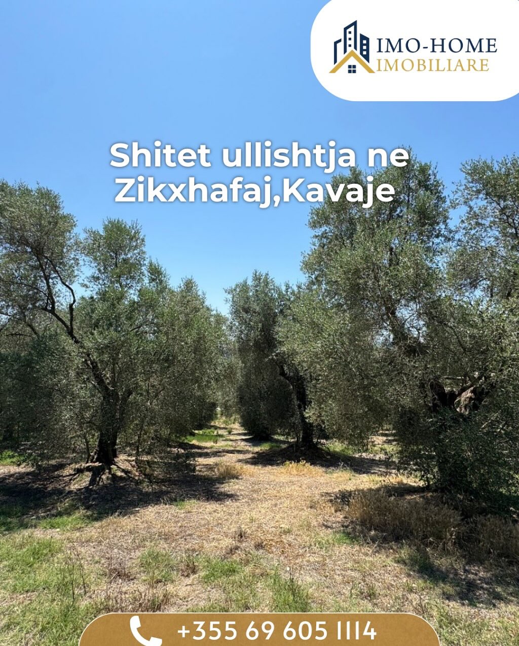 ⚡️Shitet ullishte ne koder Zikxhafaj,Kavaje ⚡️