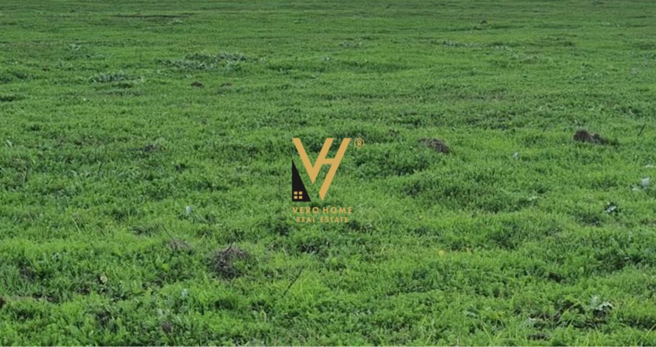 JEPET TOKE 205 M2 ME QERA NE SELITE 50.000 LEKE