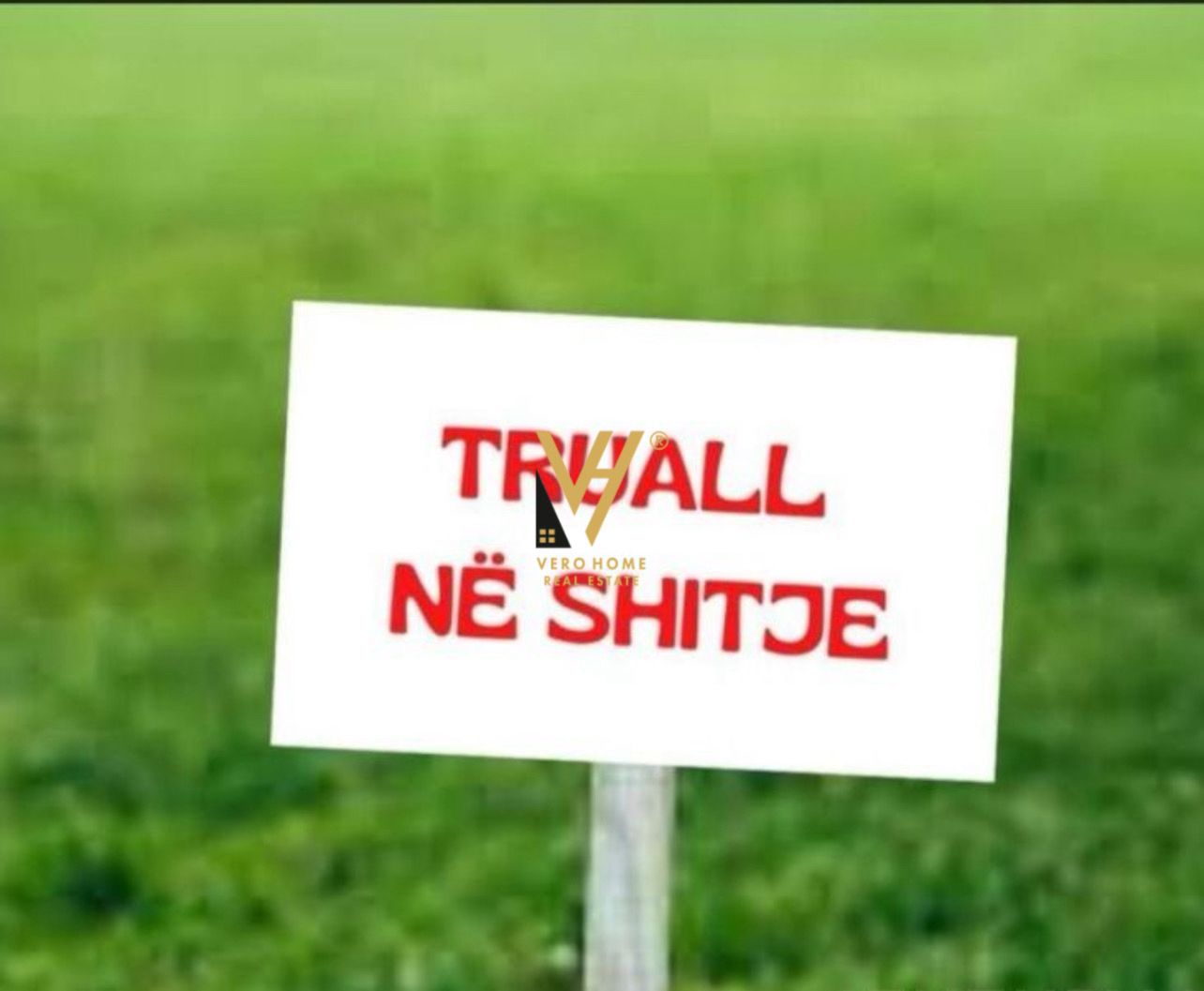 TOKE 60.000 M2 NE FIER, LIKOVUN 650.000 EURO