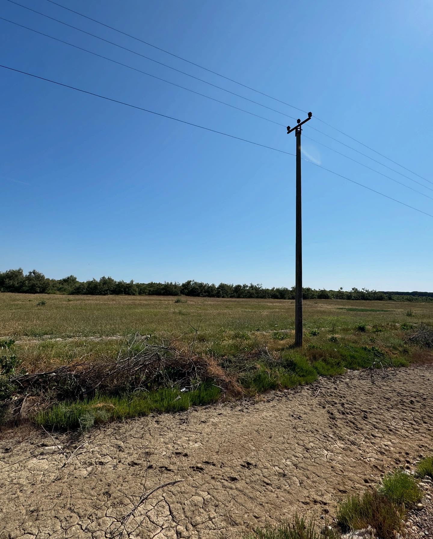 ⚡️ Super toke per shitje ne Vile Bashtove,Kavaje⚡️