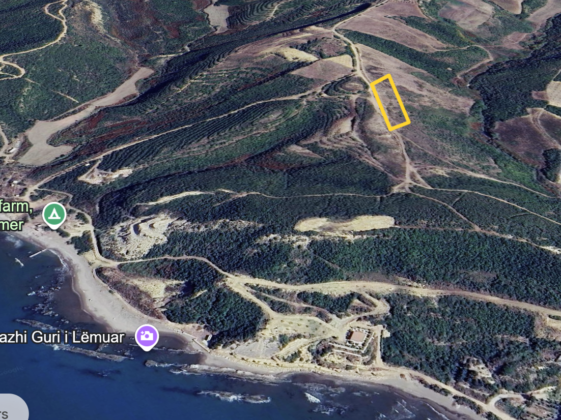 Shitet toke me pamje deti tek Guri Lemuar,Kavaj