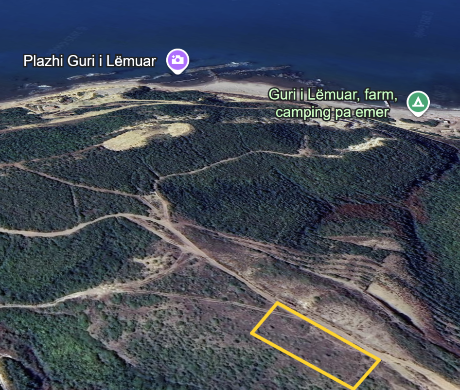 Shitet toke me pamje deti tek Guri Lemuar,Kavaj