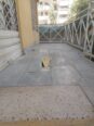 DYQAN 70 M2 ME QIRA TE KOMUNA E PARISIT 1.000 EURO