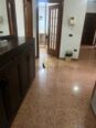 ZYRE 160 M2 TE BULEVARDI ZOGU I PARË 1.200 EURO