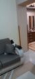 Apartament ne elbasan 1+1