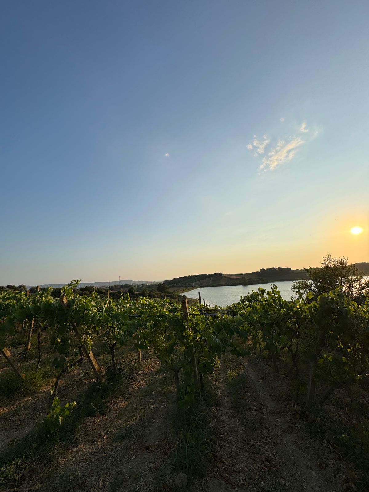 ⚡️ Super vreshte + njolle ndertimi per shitje