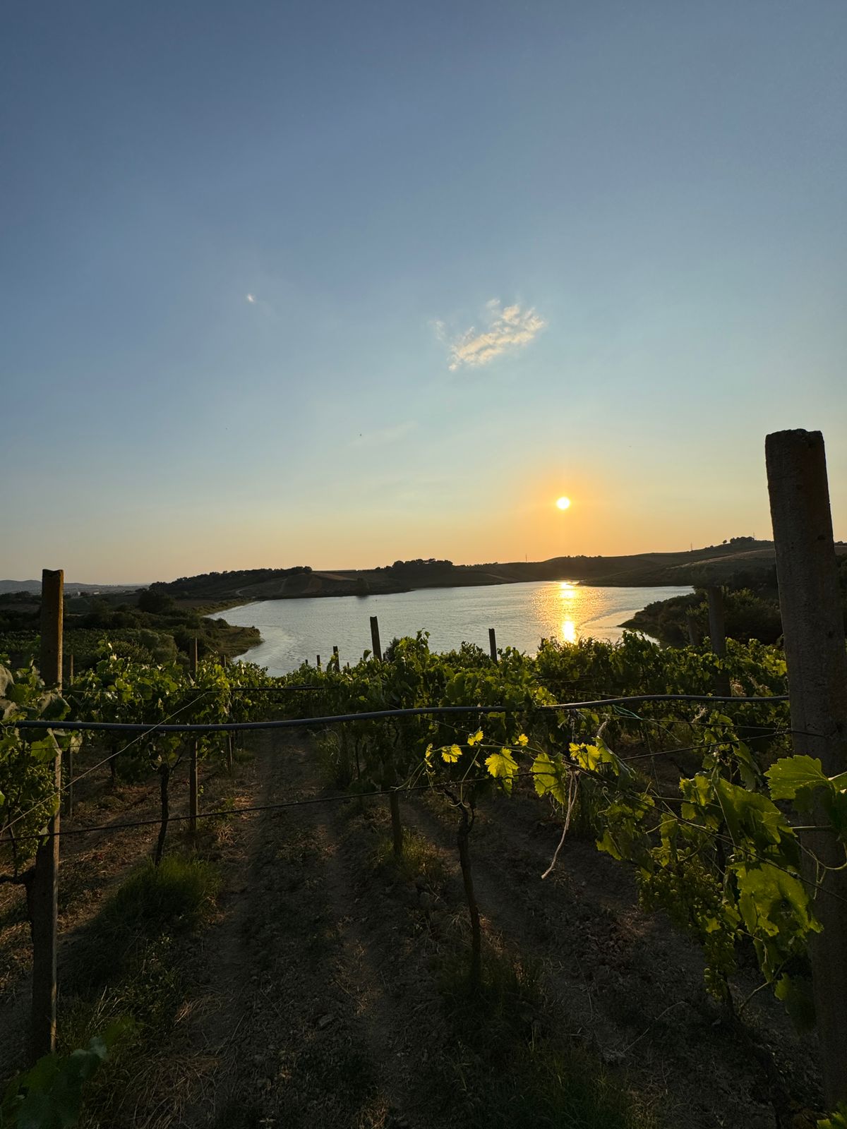 ⚡️ Super vreshte + njolle ndertimi per shitje