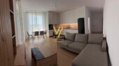 2+1+2 ME QIRA TE BULEVARDI I RI 650 EURO