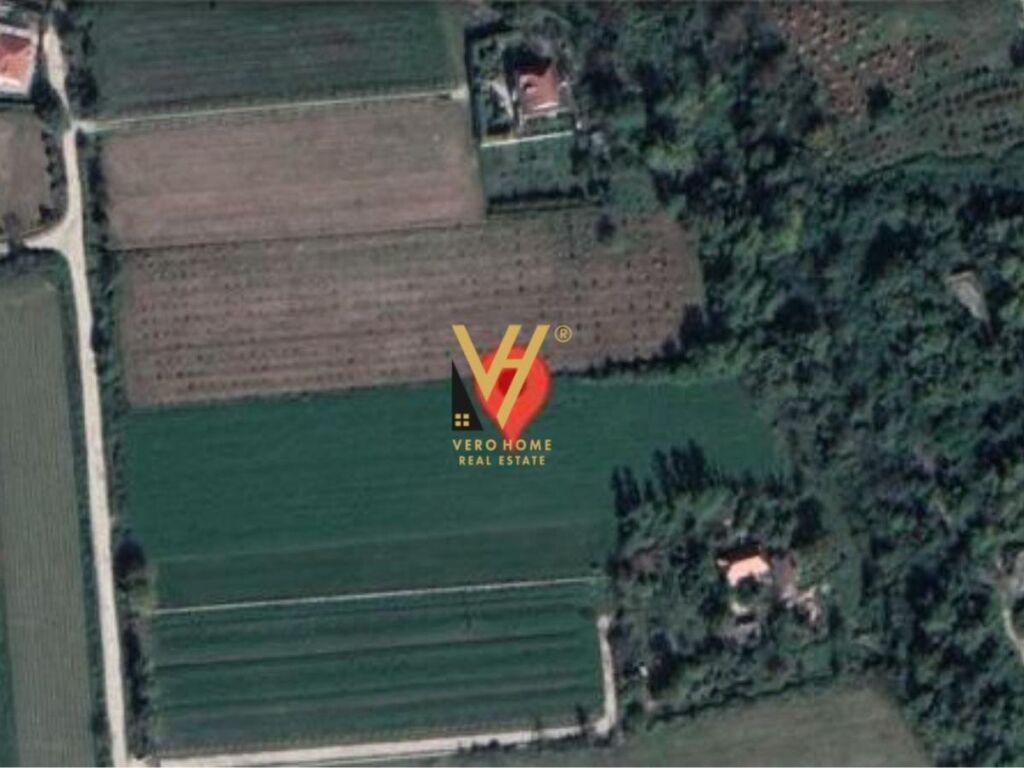 TOKE 10.000 M2 NE RINAS 700.000 EURO