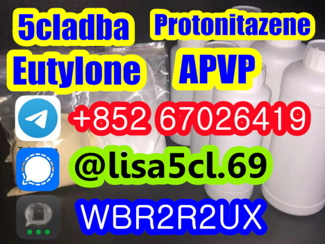 Protonitazene CAS 119276-01-6 Suppliers