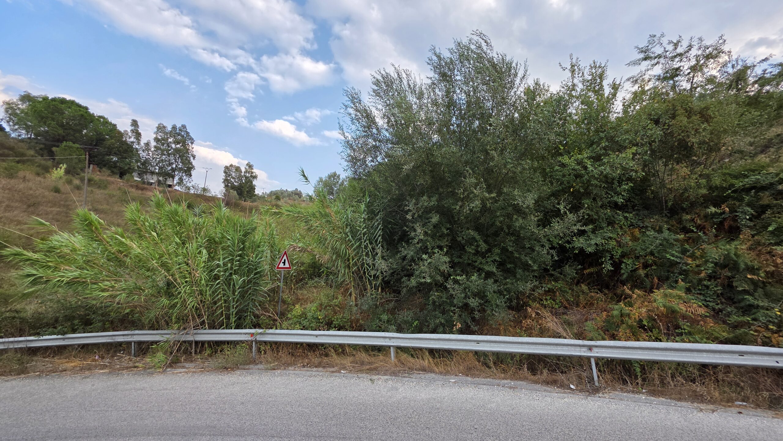 SHITET TOKE NE KASHAR LUSHNJE