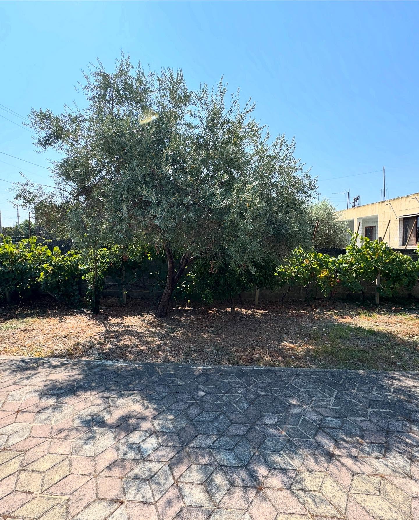 ⚡️Shitet super vila dy-kateshe Kavaje⚡️