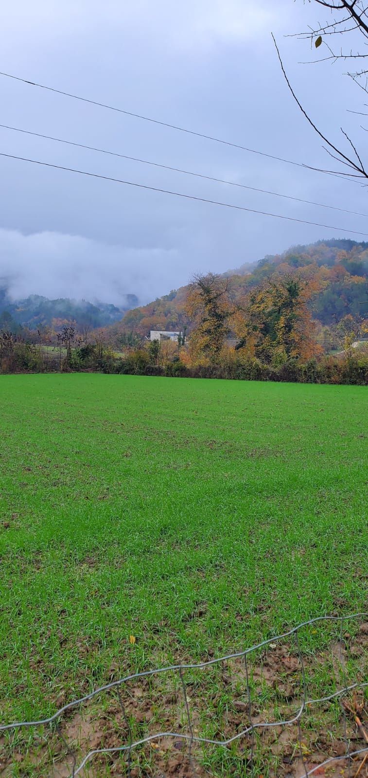 Petrelë shitet toke are